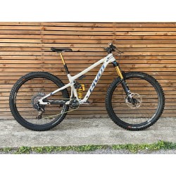 VTT d'occasion Pivot Switchblade