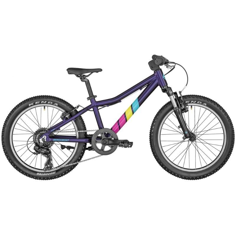 Vélo enfant Bergamont Bergamonster 20 Blue